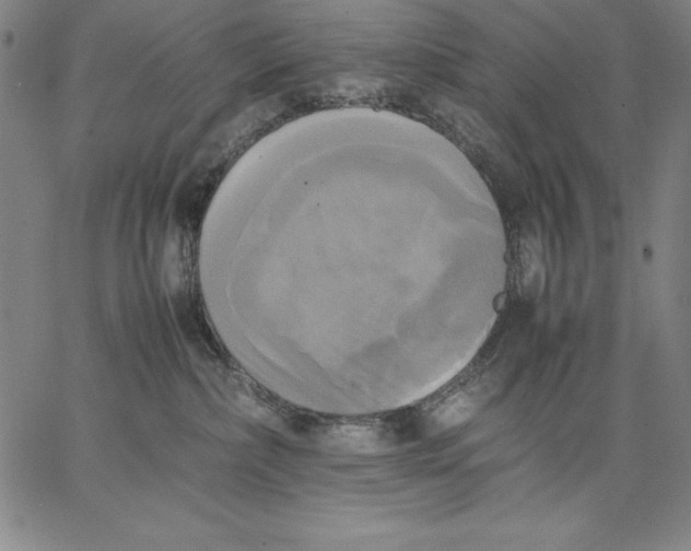 X0000066520236200604071600