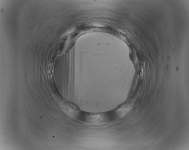 X0000066520237200604071600