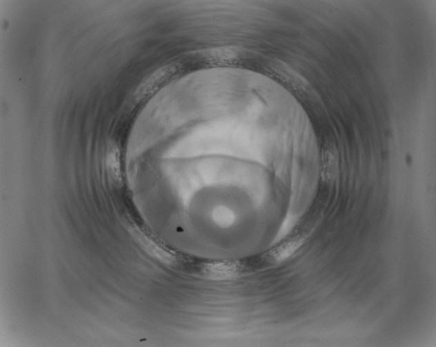 X0000066520238200604071600