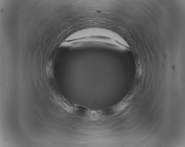 X0000066520239200604071559