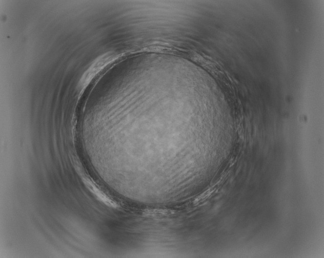 X0000066520242200604071559