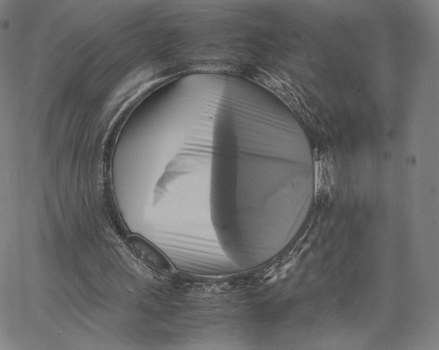 X0000066520243200604071559