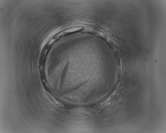 X0000066520244200604071559