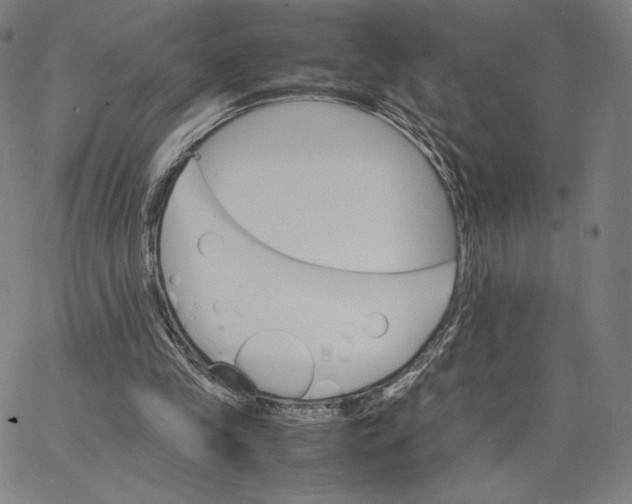 X0000066520245200604071559