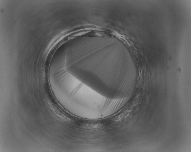 X0000066520247200604071559