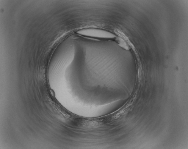 X0000066520249200604071559