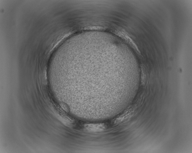 X0000066520251200604071559