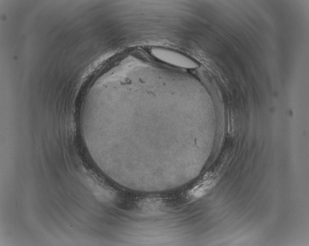 X0000066520252200604071559