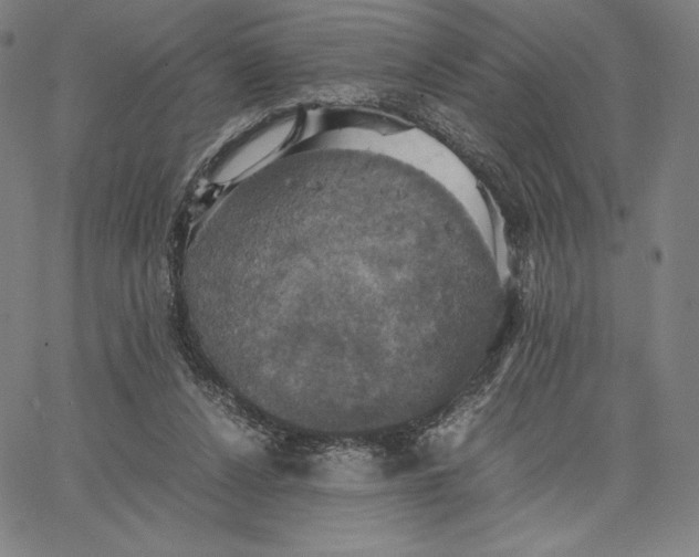 X0000066520256200604071559