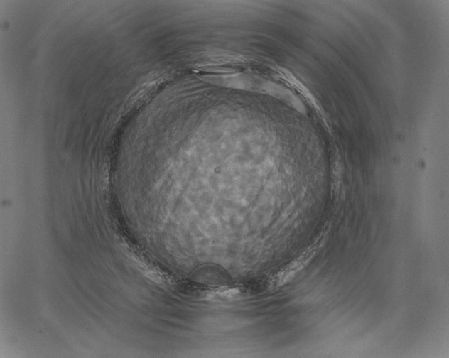 X0000066520257200604071559