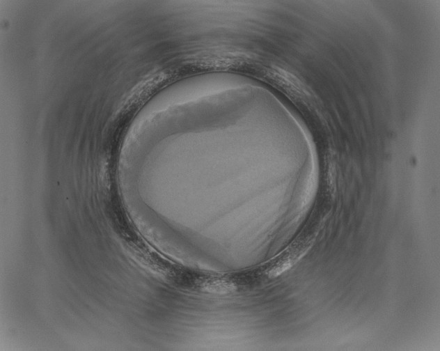 X0000066520258200604071559