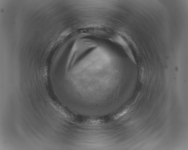 X0000066520260200604071559