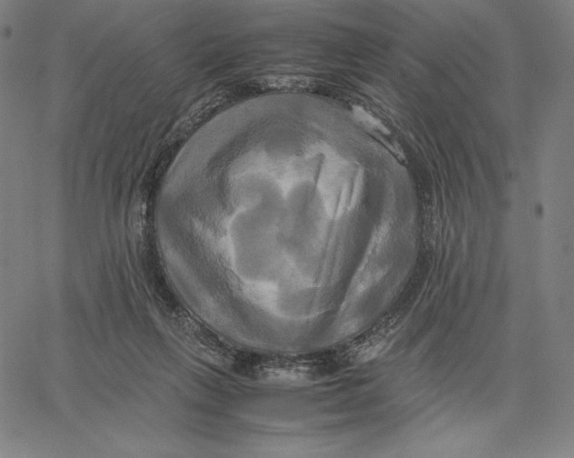 X0000066520263200604071559