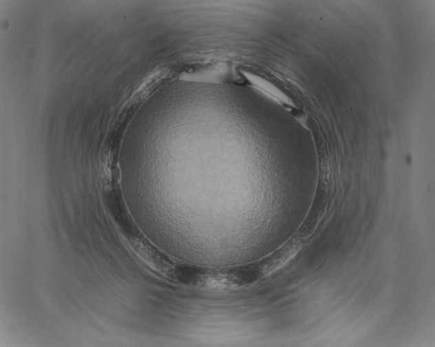 X0000066520264200604071559