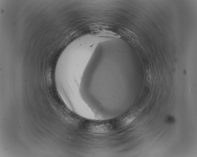 X0000066520267200604071559