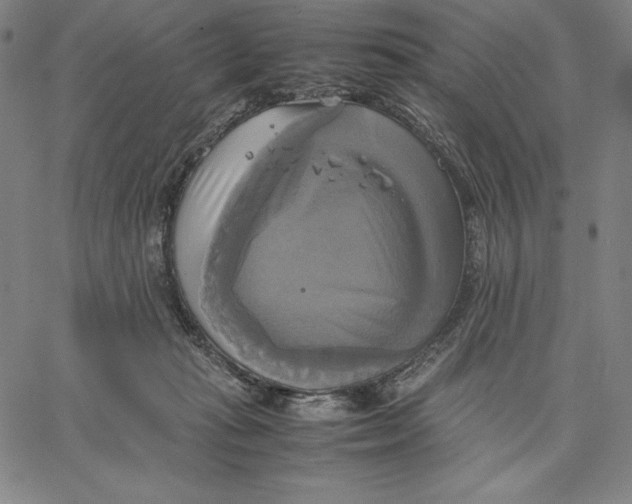 X0000066520269200604071559