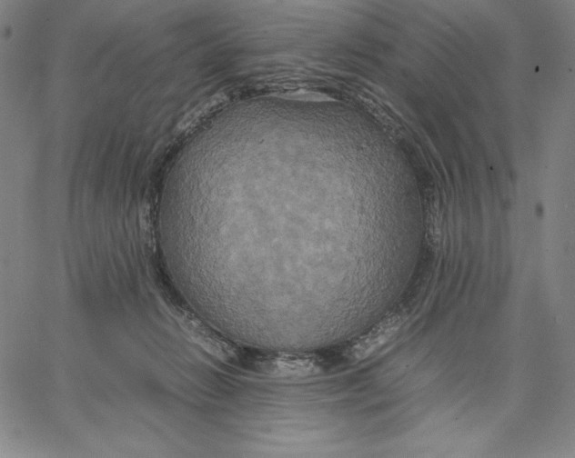 X0000066520270200604071559