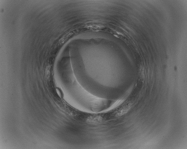 X0000066520271200604071559