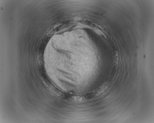 X0000066520272200604071559