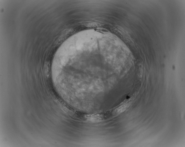 X0000066520273200604071559