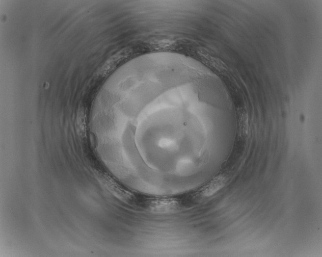 X0000066520274200604071559