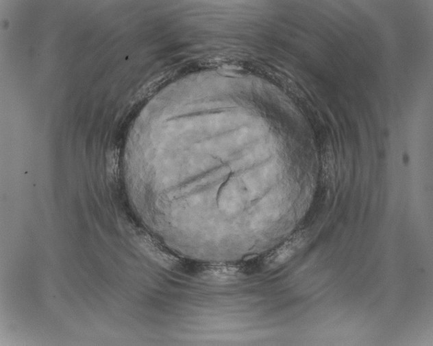 X0000066520278200604071559