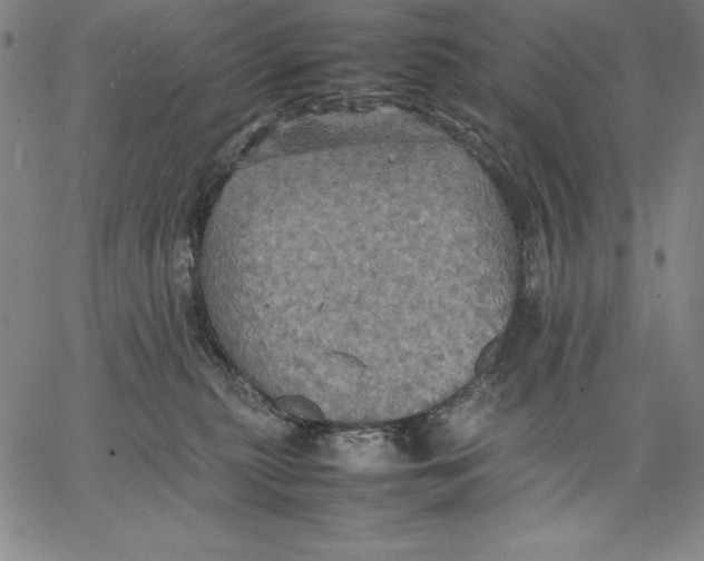 X0000066520279200604071559