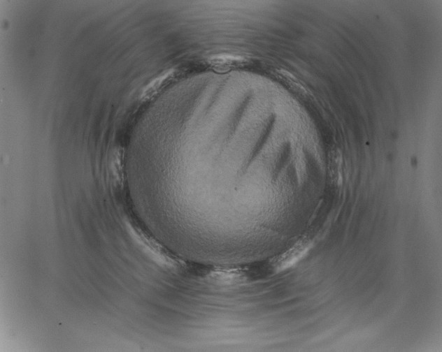 X0000066520280200604071559