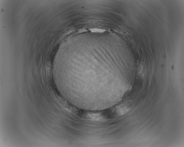 X0000066520283200604071559