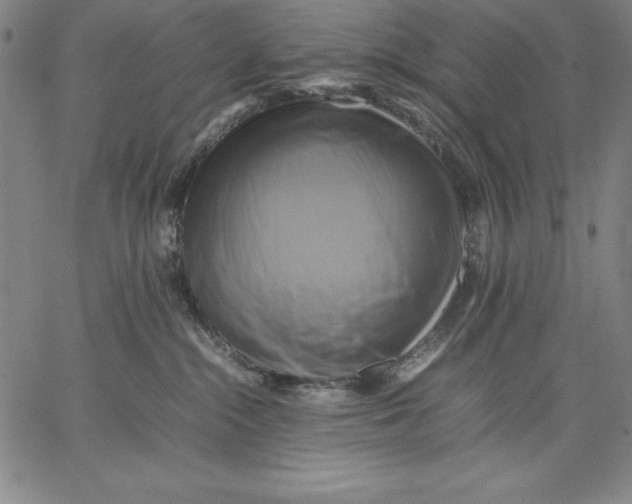 X0000066520284200604071559