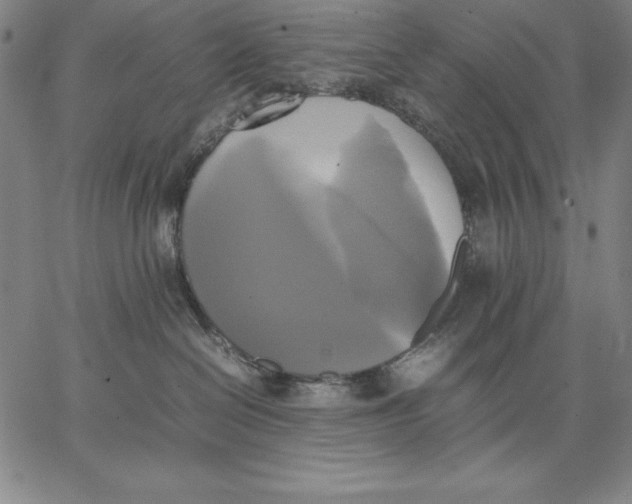 X0000066520286200604071559