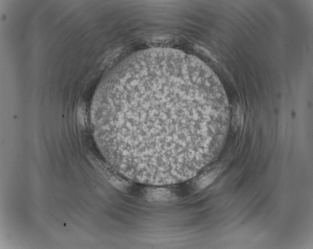 X0000066520287200604071559