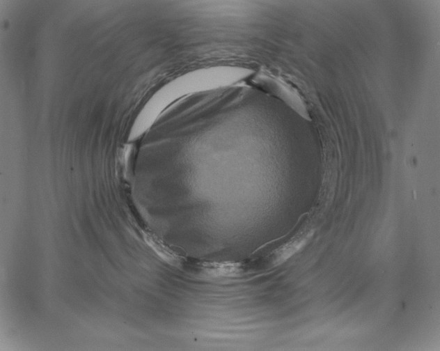 X0000066520288200604071559