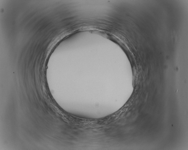 X0000066520289200604071559