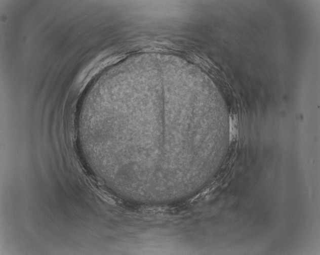 X0000066520291200604071559