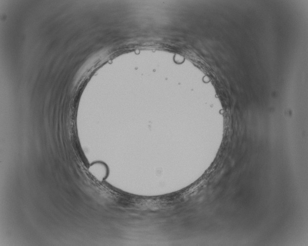 X0000066520293200604071559