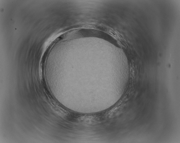 X0000066520294200604071559