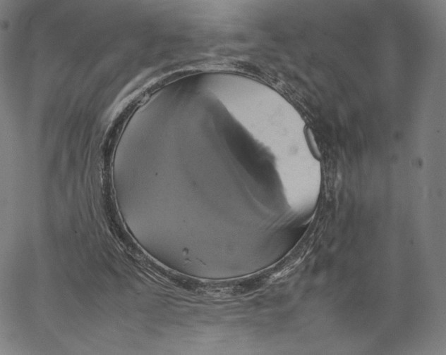 X0000066520295200604071559