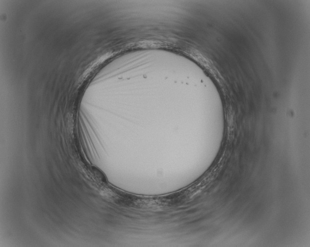 X0000066520297200604071559