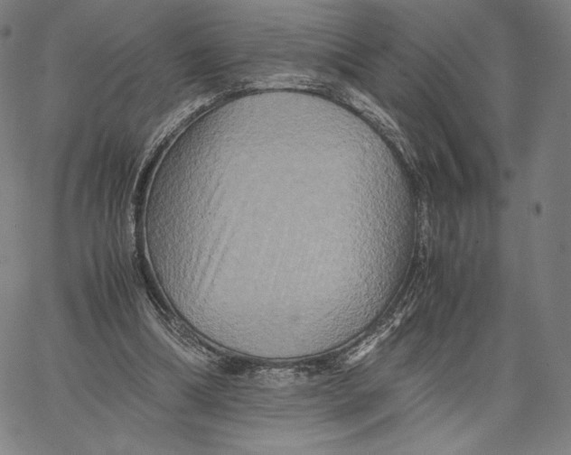 X0000066520298200604071559