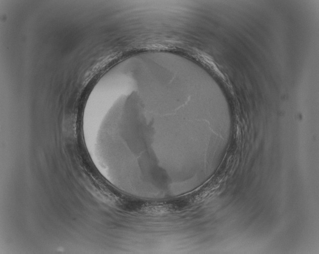 X0000066520299200604071559