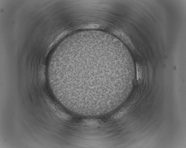 X0000066520300200604071559