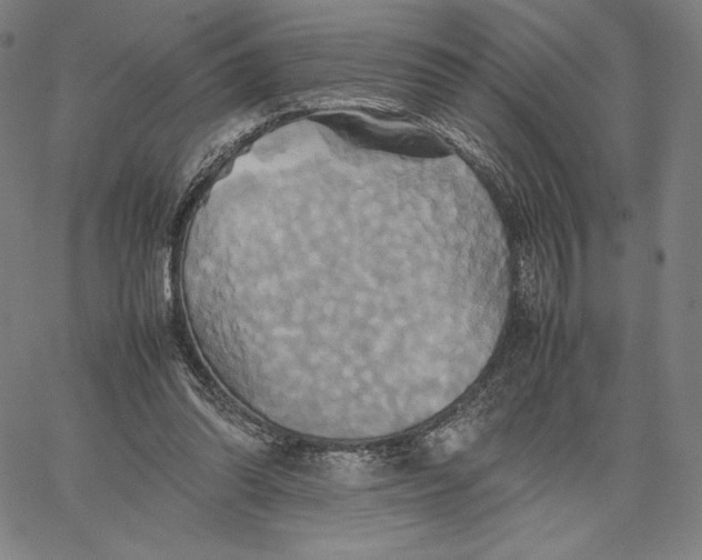 X0000066520302200604071558