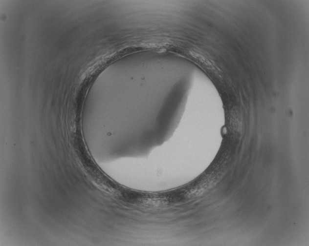 X0000066520303200604071558