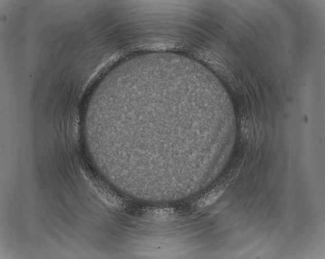 X0000066520304200604071558