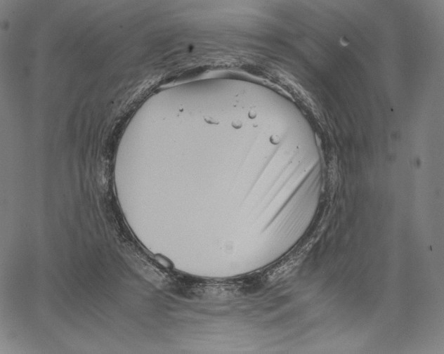 X0000066520305200604071558