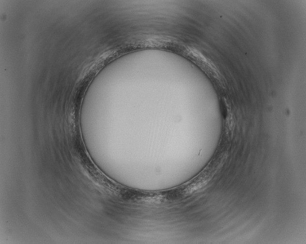 X0000066520306200604071558