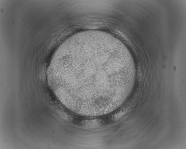 X0000066520307200604071558