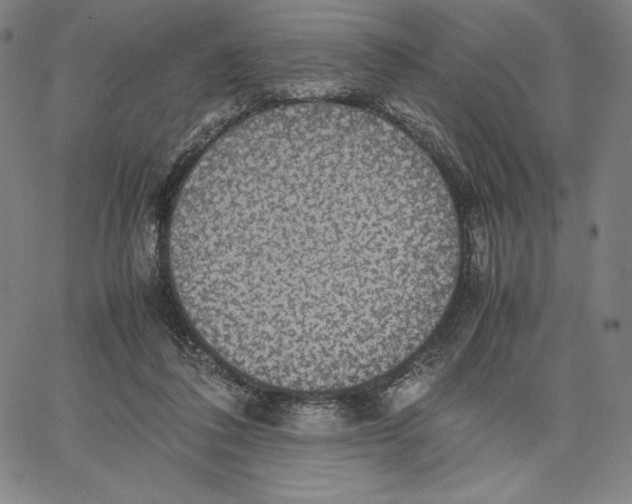 X0000066520308200604071558