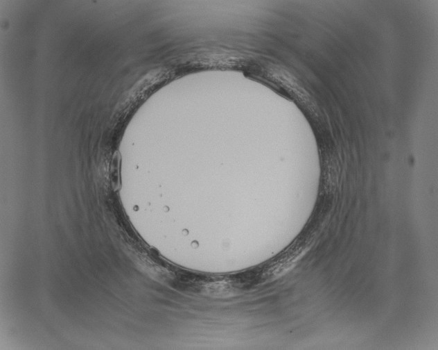 X0000066520309200604071558